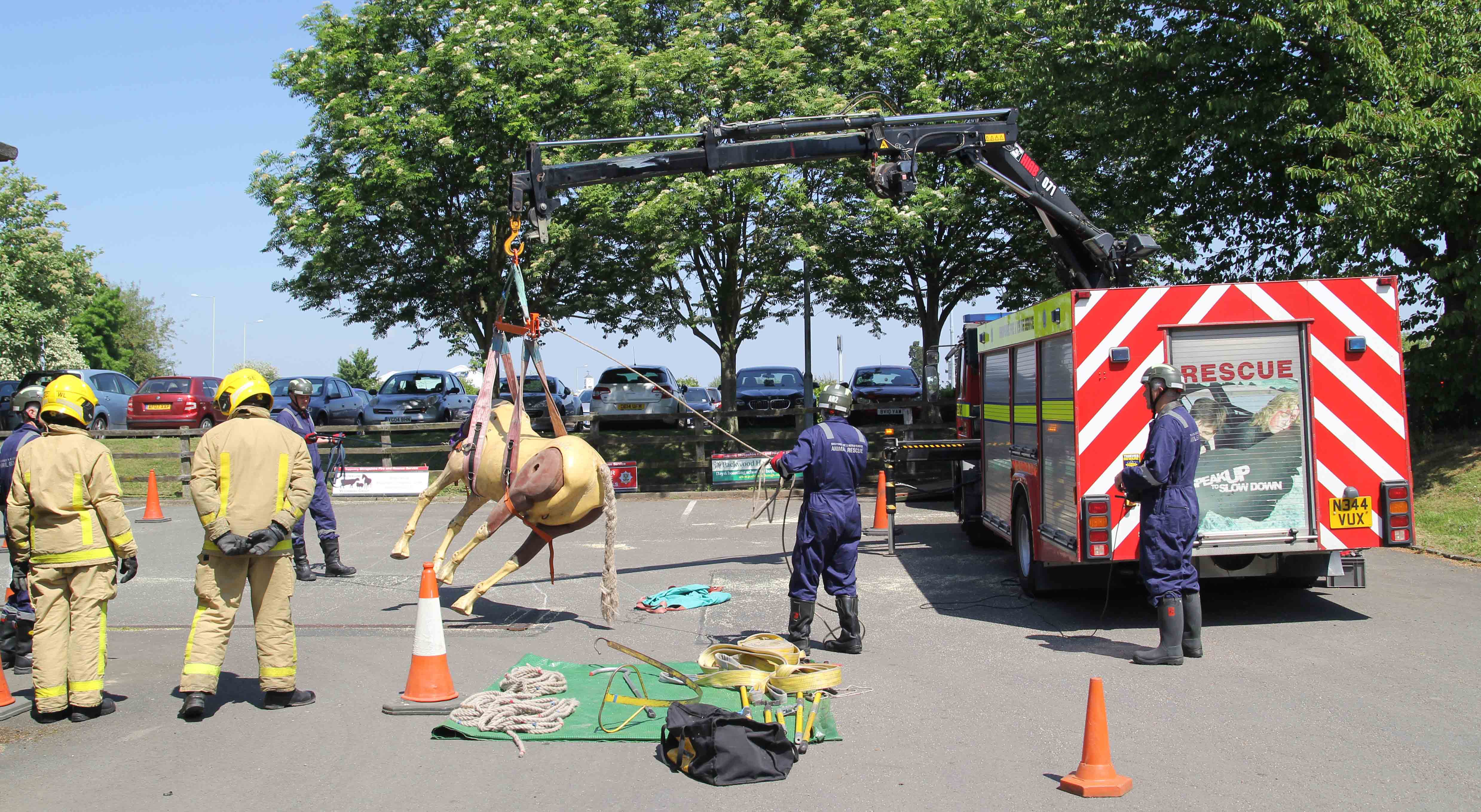 Red Watch Wellington demonstrate how they train to rescue animals at the anniversary celebrationss