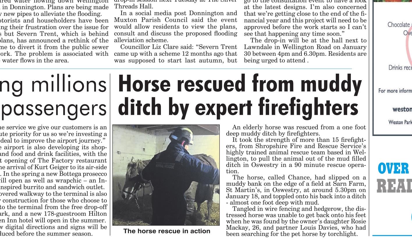 Shropshire Star report our story on the horse rescue
