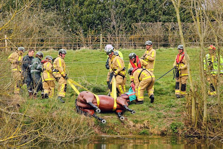 Shropshire Fire and Rescue Service's animal rescue team pictured here in training with Bullseye, a dummy horse.