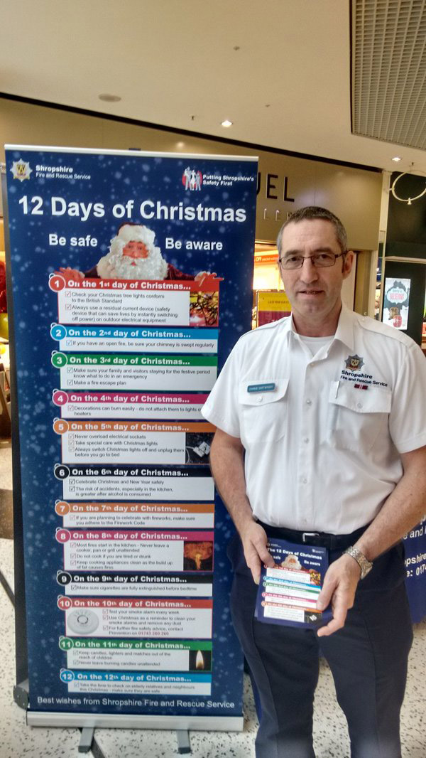 Twelve Days of Christmas 2