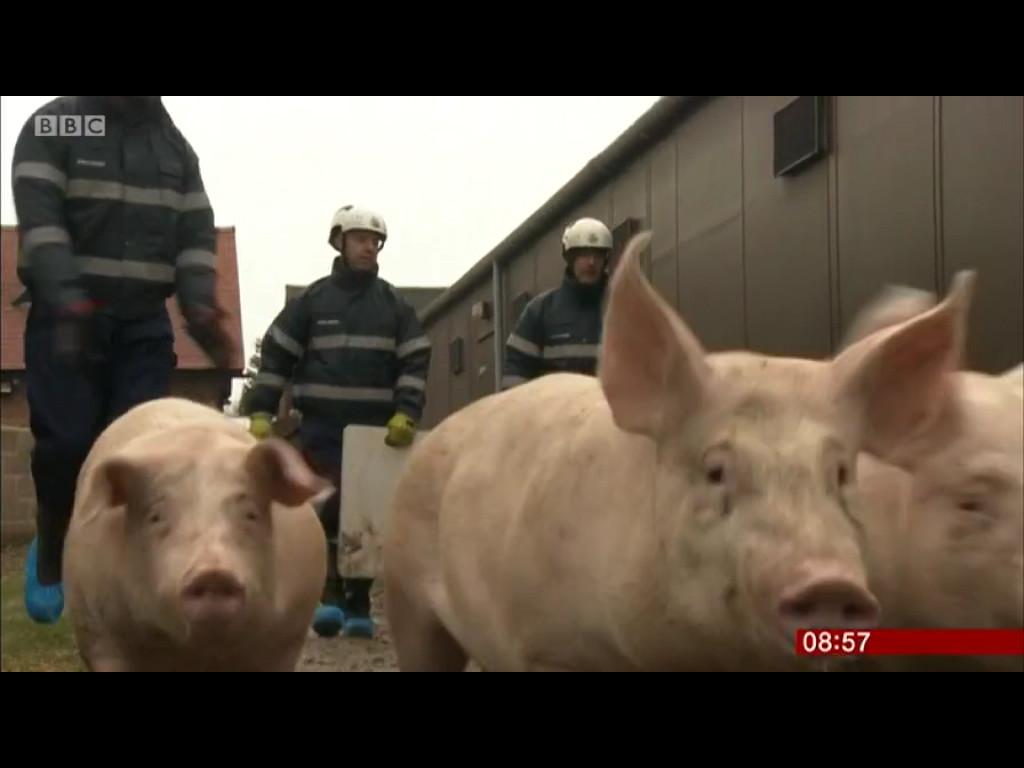 Firefighters learn how to deal with all sorts of animals