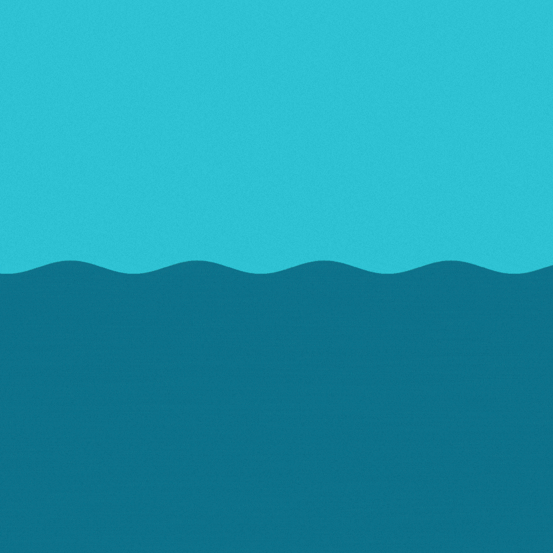 Animated WDPD logo + Strapline